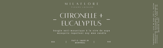 Chandelle de soya - Citronelle & Eucalyptus